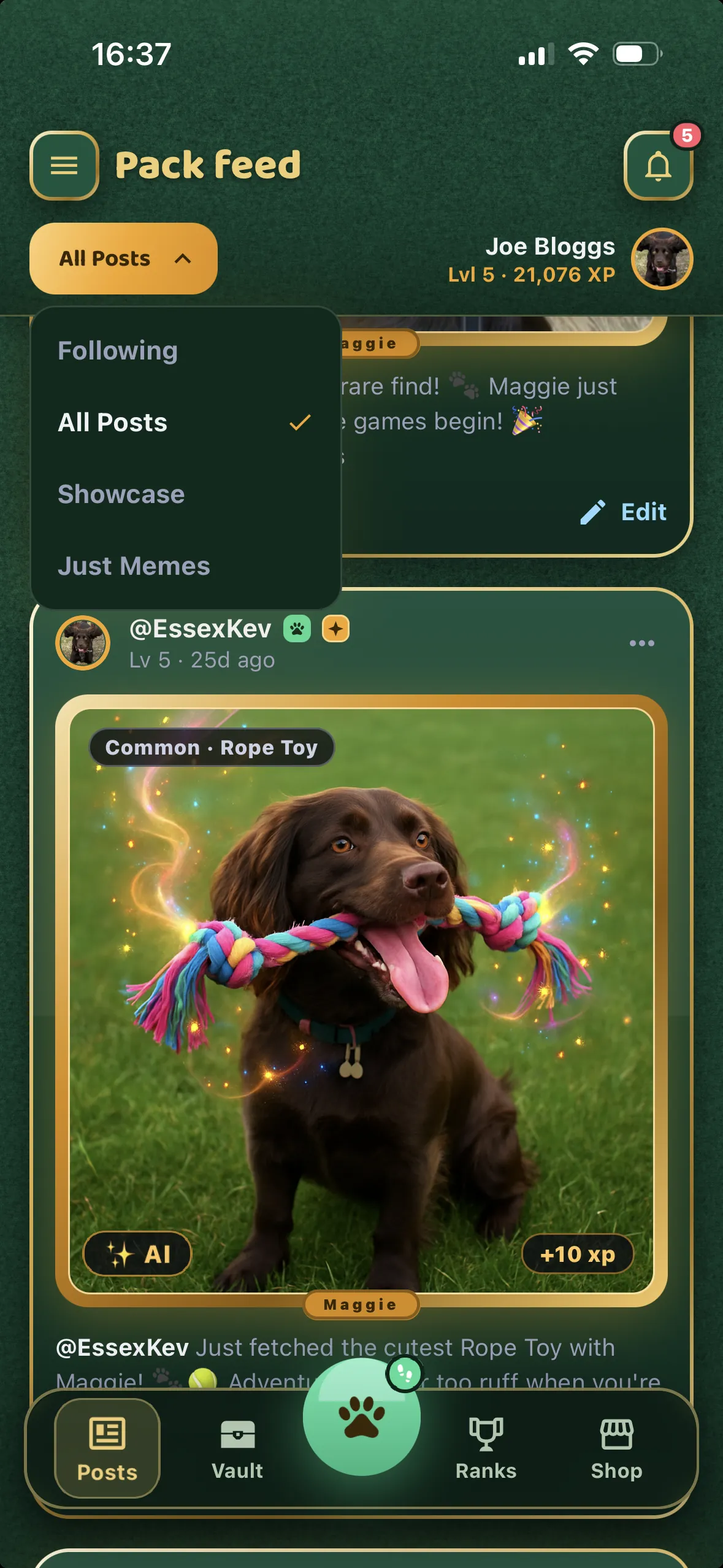 Fetch Quest AR Pack Feed showing a dog fetching a rare Rune Stick in AR, earning XP